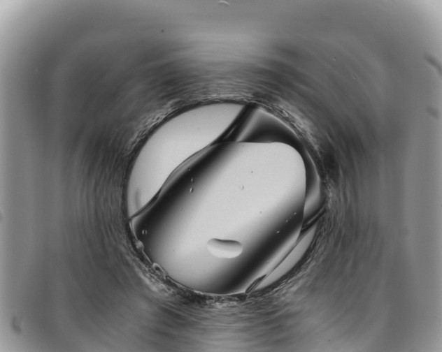 X0000094930401200711291339