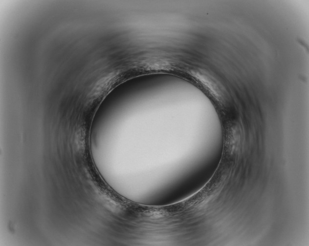 X0000094930402200711291339