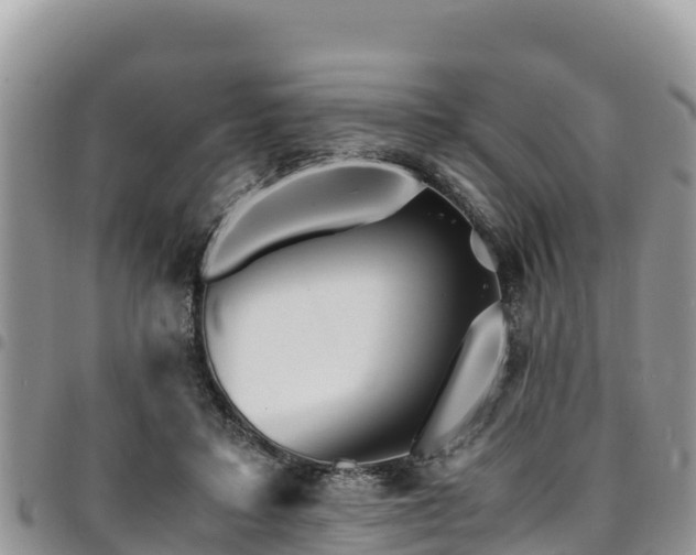 X0000094930403200711291339