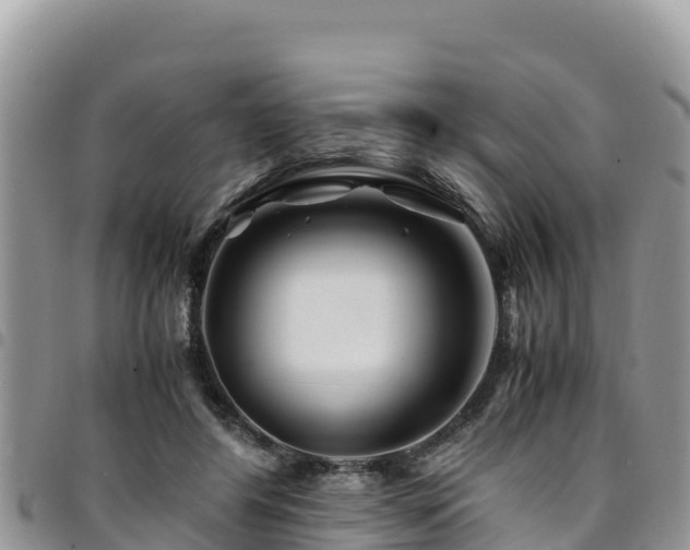 X0000094930404200711291339