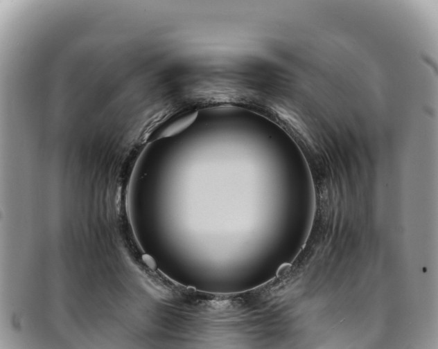 X0000094930406200711291339