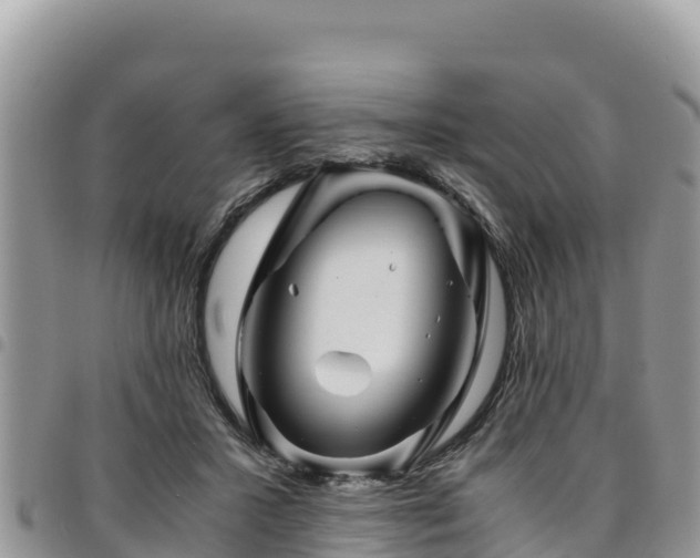 X0000094930407200711291339