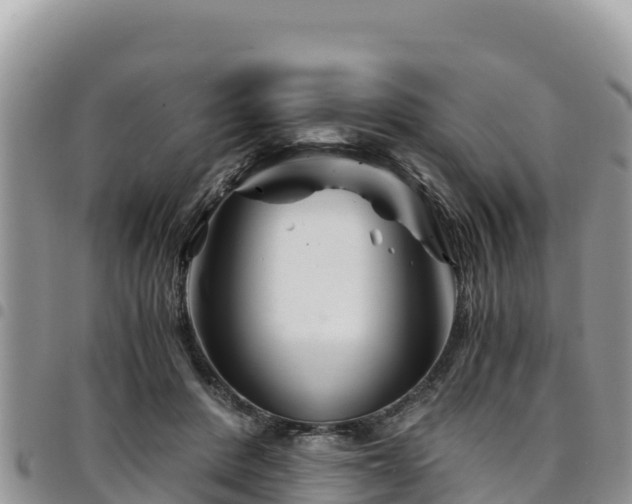 X0000094930408200711291339
