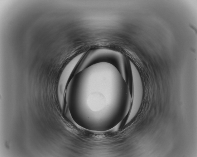 X0000094930409200711291339