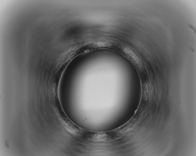 X0000094930410200711291339