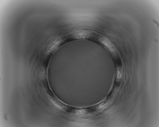 X0000094930411200711291339