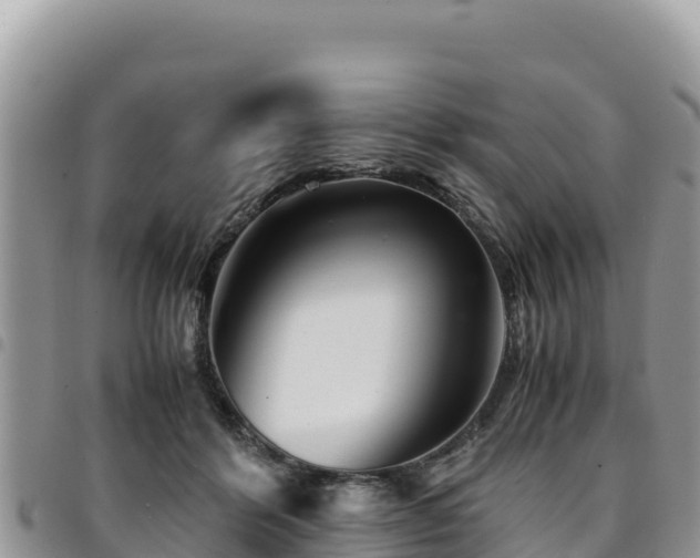 X0000094930412200711291339