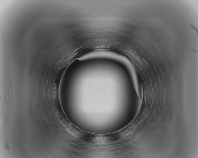 X0000094930413200711291339