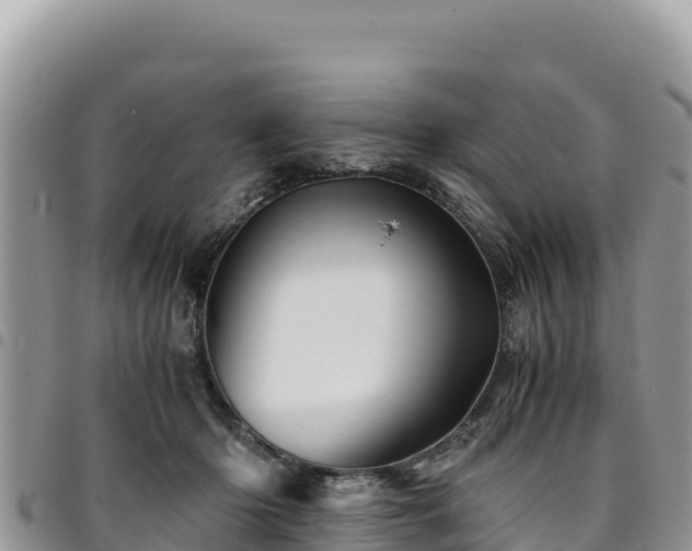 X0000094930414200711291339