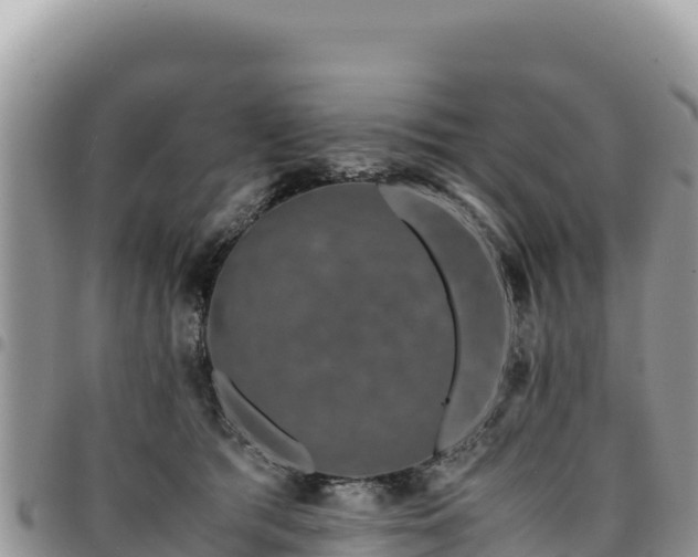 X0000094930417200711291339