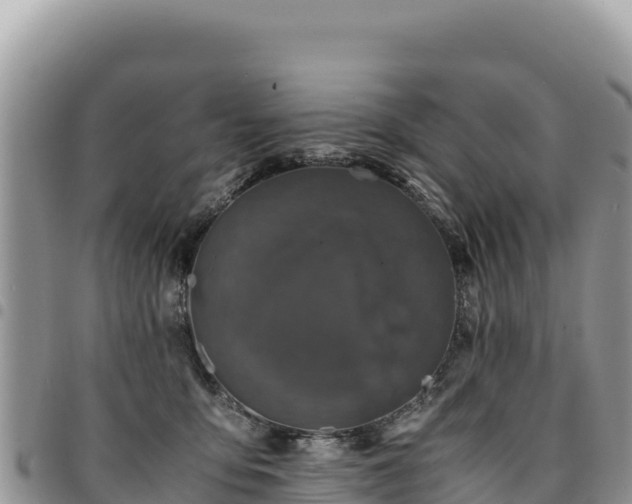 X0000094930419200711291339