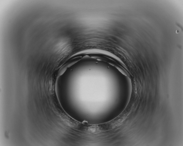 X0000094930420200711291339