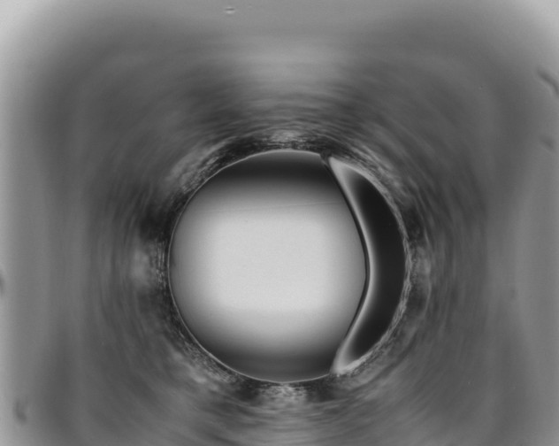 X0000094930421200711291339