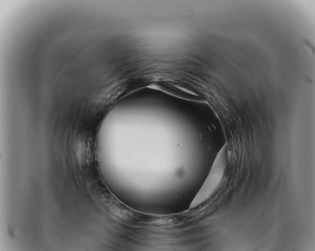 X0000094930422200711291339