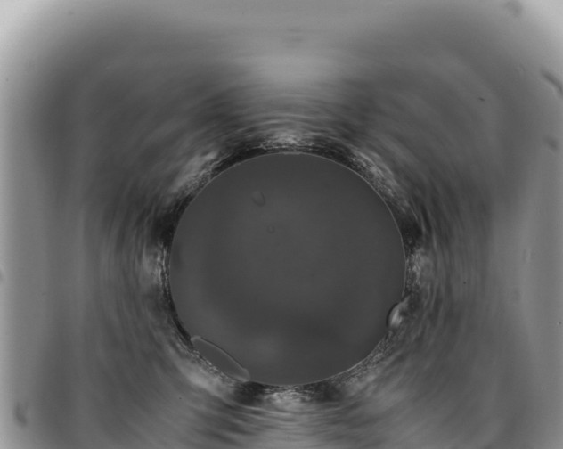 X0000094930423200711291339