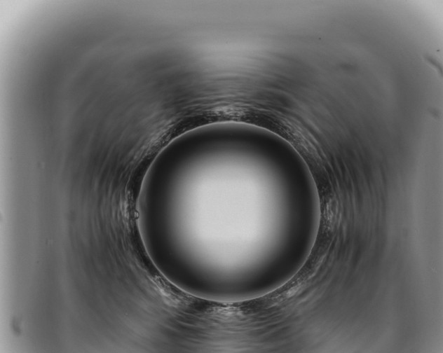 X0000094930424200711291339