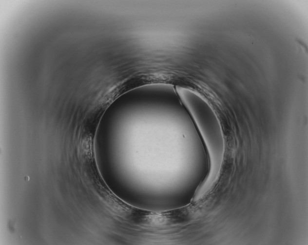 X0000094930425200711291339