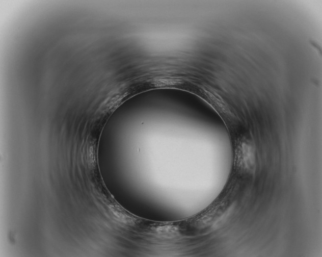 X0000094930426200711291339