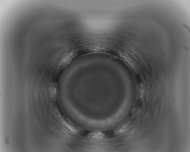 X0000094930427200711291339