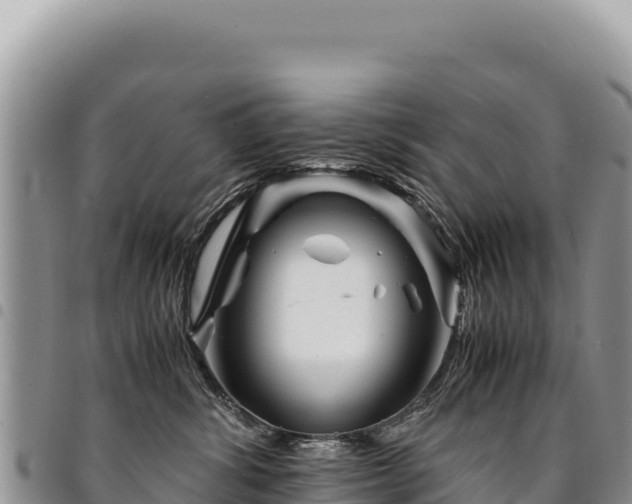 X0000094930428200711291339