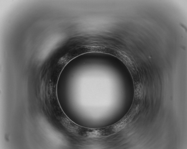 X0000094930430200711291339