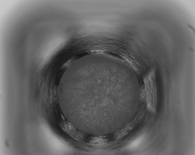 X0000094930431200711291339