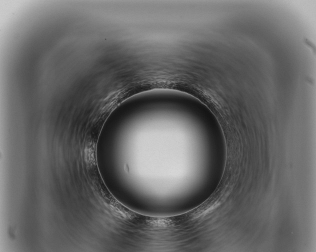 X0000094930432200711291339