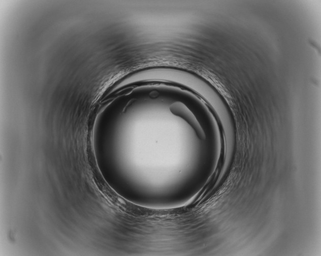 X0000094930434200711291338