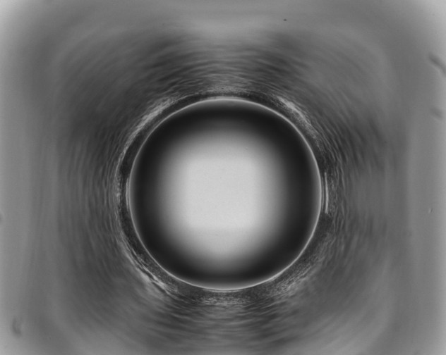 X0000094930435200711291338