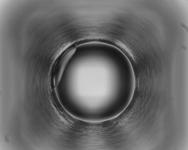 X0000094930436200711291338