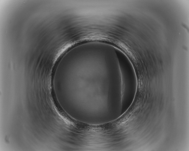 X0000094930438200711291338