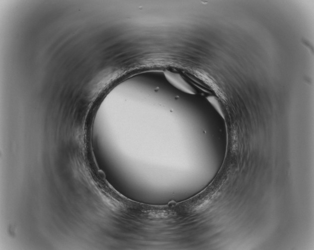 X0000094930439200711291338