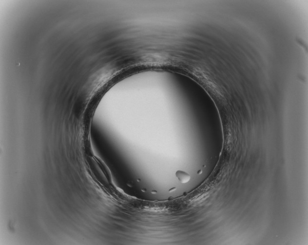 X0000094930440200711291338