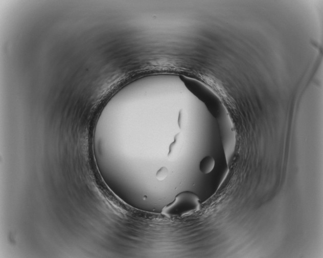 X0000094930442200711291338