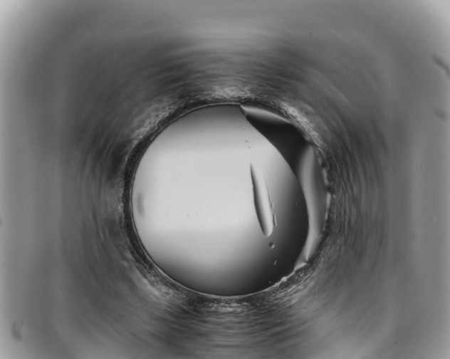 X0000094930443200711291338