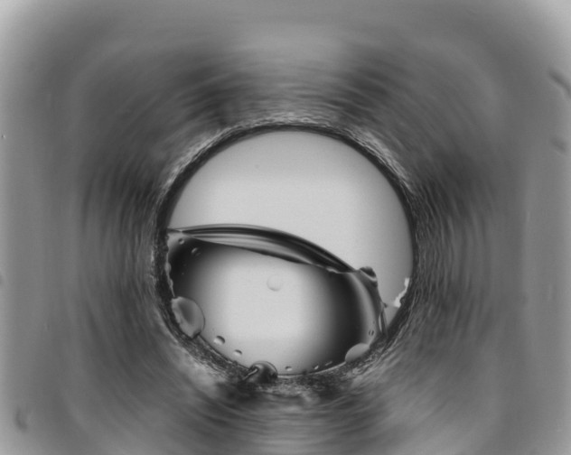 X0000094930444200711291338