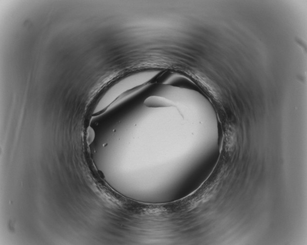 X0000094930446200711291338