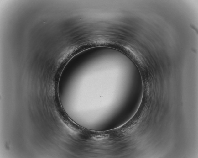 X0000094930447200711291338