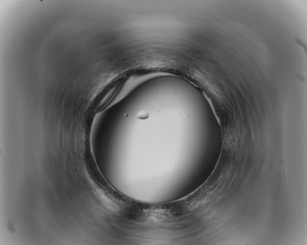 X0000094930448200711291338