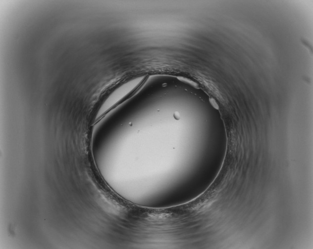 X0000094930450200711291338