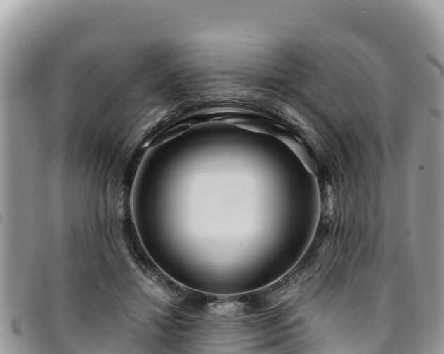 X0000094930452200711291338