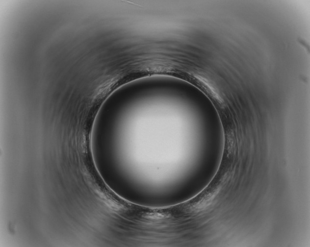 X0000094930453200711291338