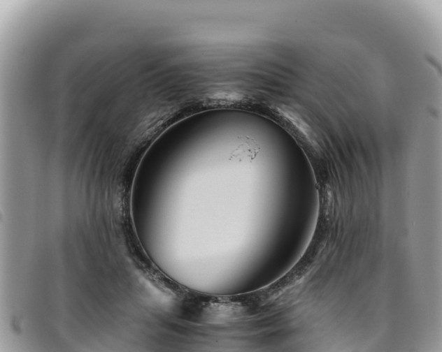 X0000094930455200711291338