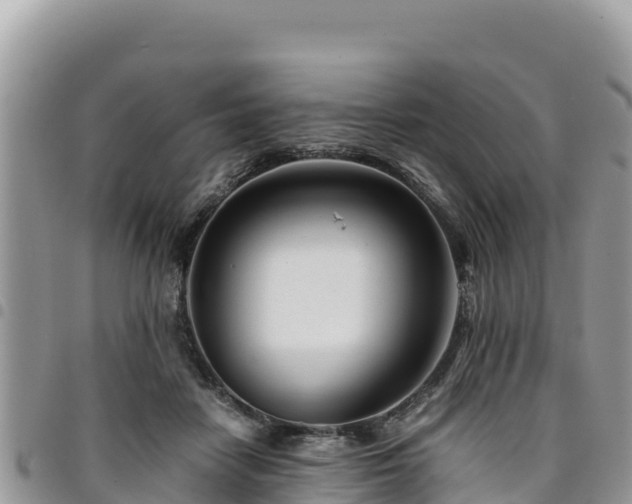X0000094930458200711291338
