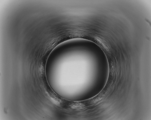 X0000094930459200711291338