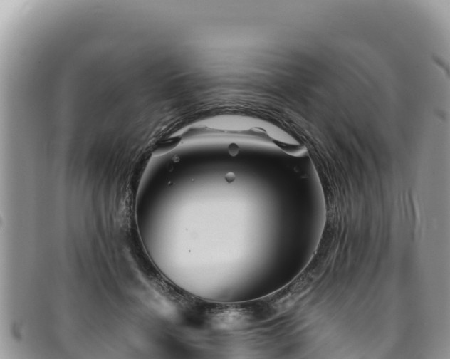 X0000094930460200711291338