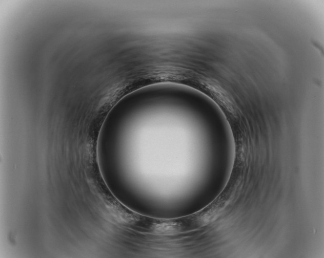 X0000094930461200711291338