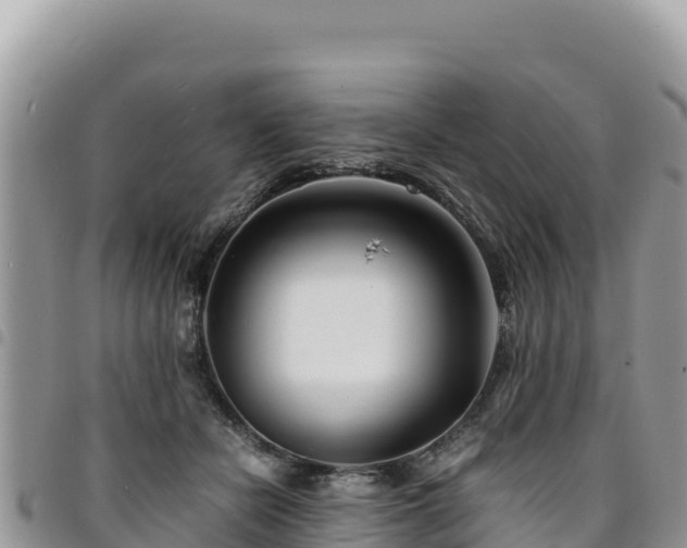 X0000094930462200711291338