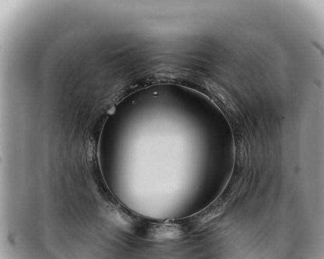 X0000094930463200711291338