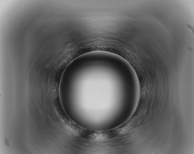 X0000094930464200711291338